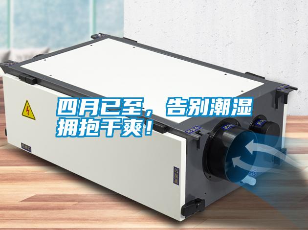 四月已至，告別潮濕擁抱干爽！