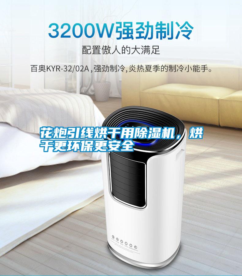 花炮引線烘干用除濕機，烘干更環保更安全