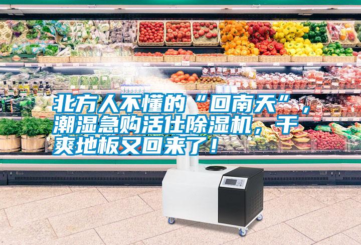 北方人不懂的“回南天”，潮濕急購活仕除濕機，干爽地板又回來了！
