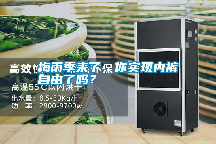 梅雨季來了，你實現內褲自由了嗎？