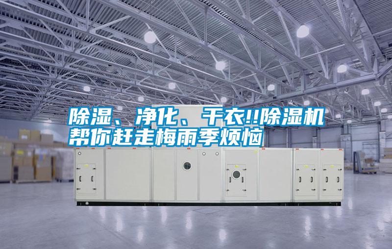 除濕、凈化、干衣!!除濕機幫你趕走梅雨季煩惱