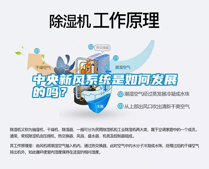 中央新風系統是如何發展的嗎？