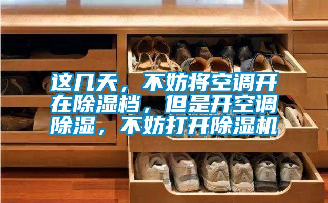這幾天，不妨將空調開在除濕檔，但是開空調除濕，不妨打開除濕機