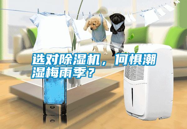 選對除濕機，何懼潮濕梅雨季？