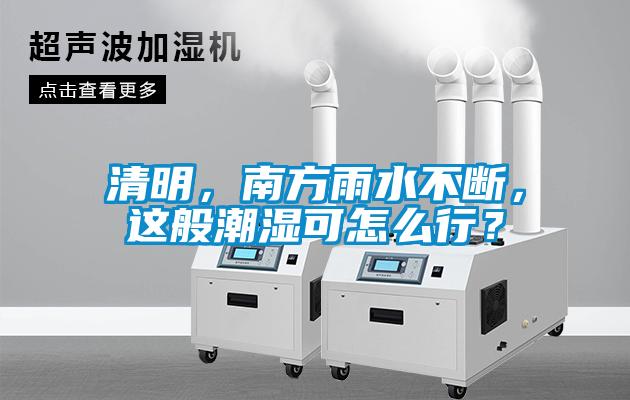 清明，南方雨水不斷，這般潮濕可怎么行？