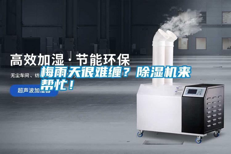 梅雨天很難纏？除濕機來幫忙！