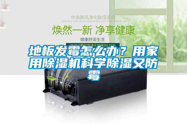 地板發霉怎么辦？用家用除濕機科學除濕又防霉