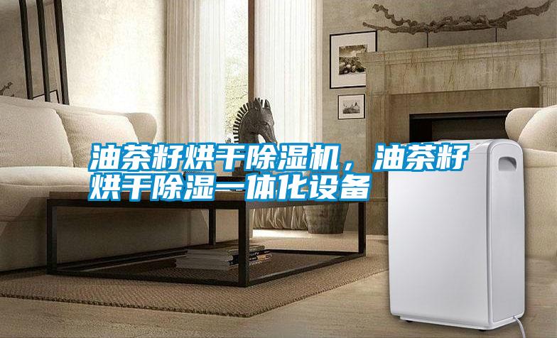 油茶籽烘干除濕機，油茶籽烘干除濕一體化設備