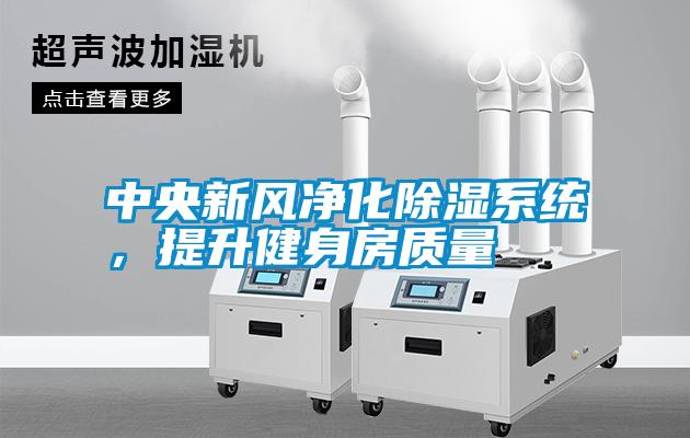 中央新風凈化除濕系統，提升健身房質量