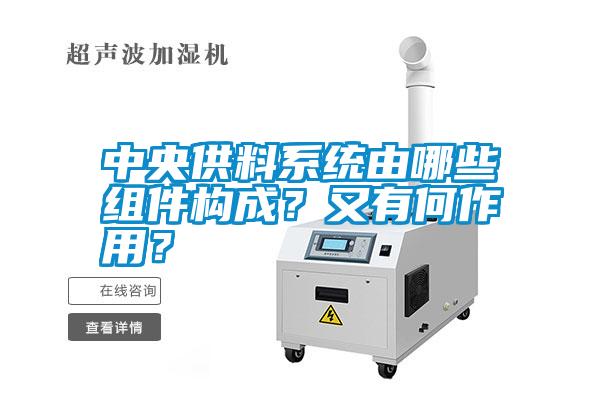 中央供料系統由哪些組件構成？又有何作用？