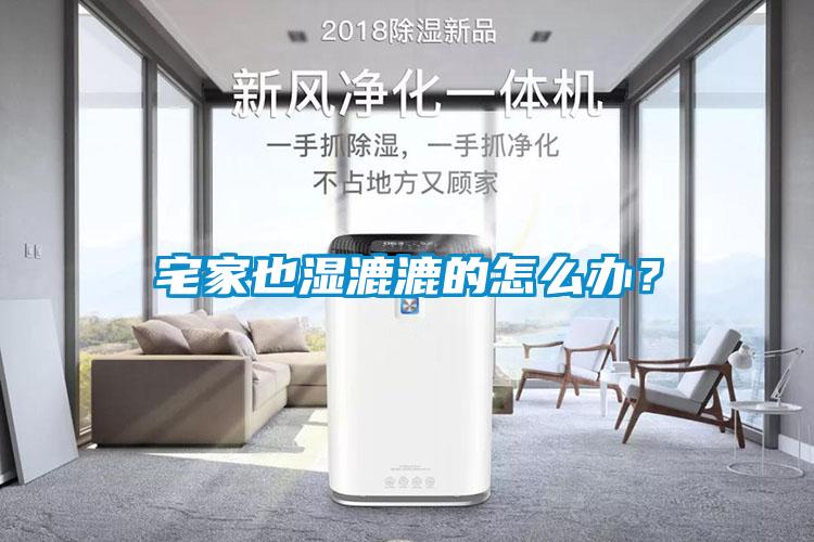 宅家也濕漉漉的怎么辦？