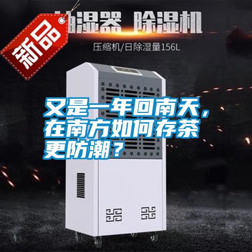 又是一年回南天，在南方如何存茶更防潮？
