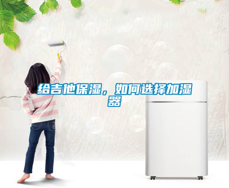 給吉他保濕，如何選擇加濕器