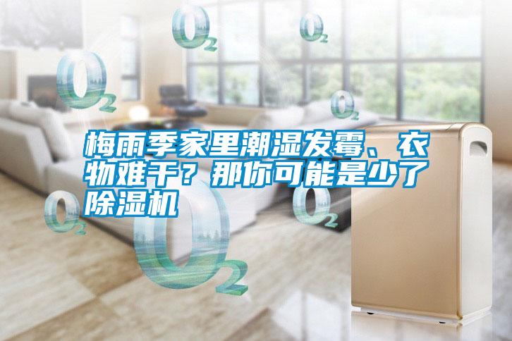 梅雨季家里潮濕發霉、衣物難干？那你可能是少了除濕機