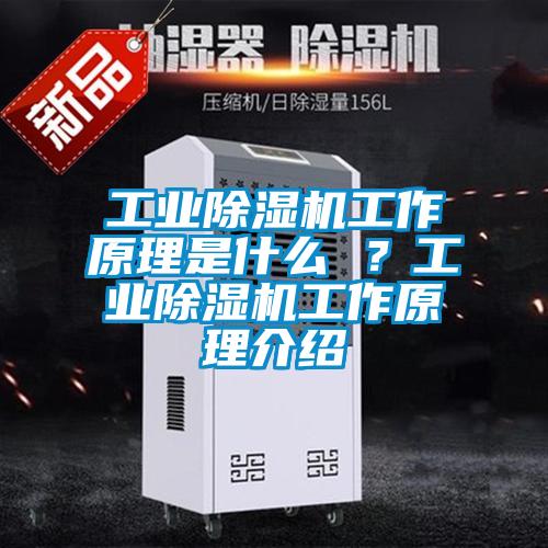 工業除濕機工作原理是什么 ？工業除濕機工作原理介紹