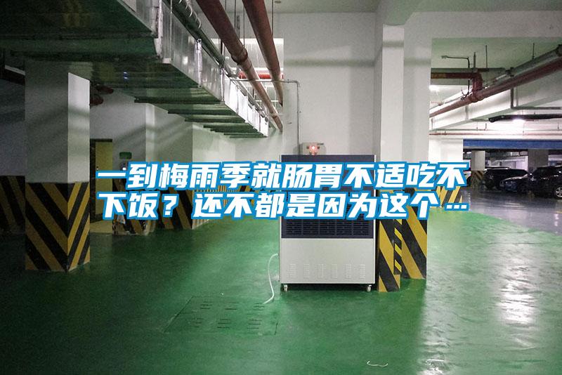 一到梅雨季就腸胃不適吃不下飯？還不都是因為這個…
