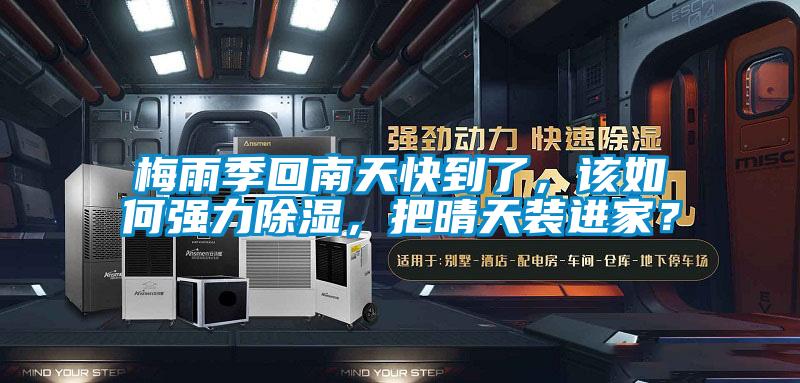 梅雨季回南天快到了，該如何強力除濕，把晴天裝進家？