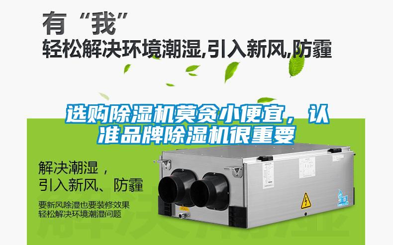 選購除濕機莫貪小便宜，認準品牌除濕機很重要