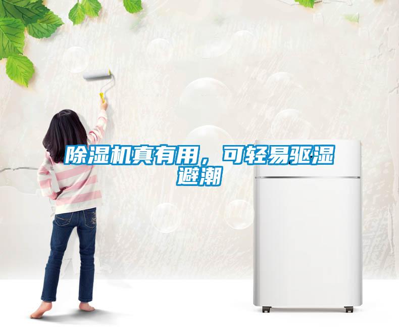 除濕機真有用，可輕易驅濕避潮