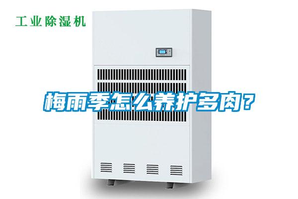 梅雨季怎么養護多肉？