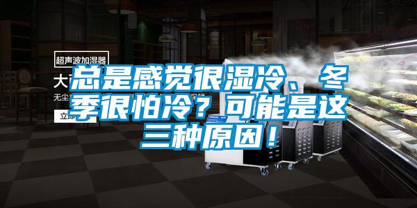 總是感覺很濕冷、冬季很怕冷？可能是這三種原因！