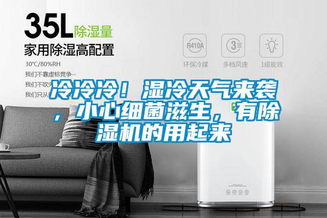 冷冷冷！濕冷天氣來襲，小心細菌滋生，有除濕機的用起來