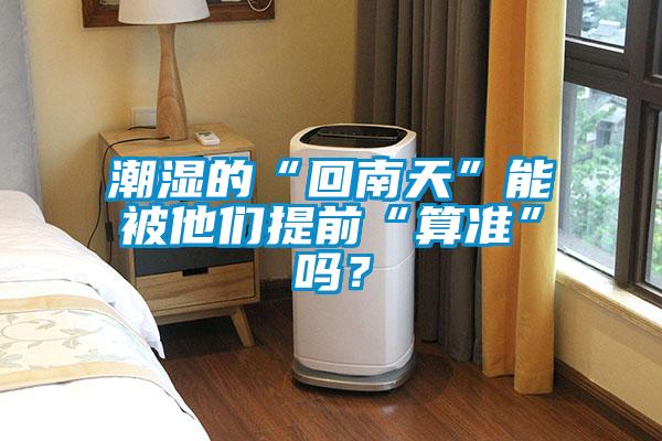 潮濕的“回南天”能被他們提前“算準”嗎？