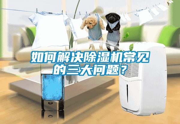 如何解決除濕機常見的三大問題？