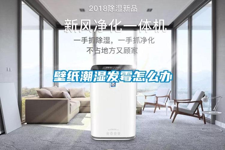 壁紙潮濕發霉怎么辦
