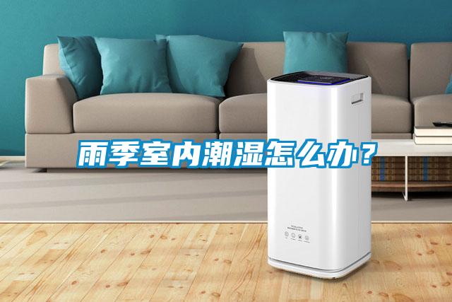 雨季室內潮濕怎么辦？