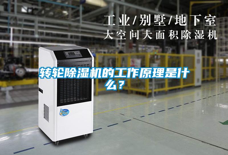 轉輪除濕機的工作原理是什么？