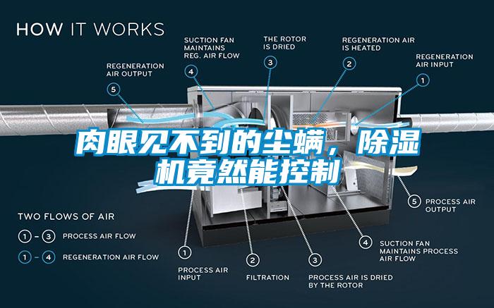 肉眼見不到的塵螨，除濕機竟然能控制