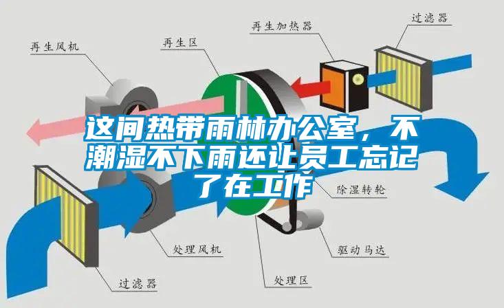 這間熱帶雨林辦公室，不潮濕不下雨還讓員工忘記了在工作