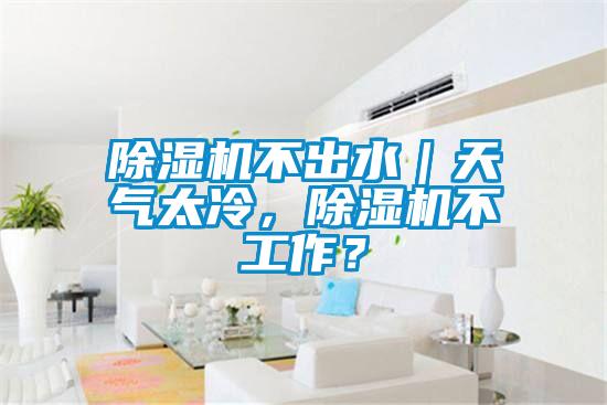 除濕機不出水｜天氣太冷，除濕機不工作？