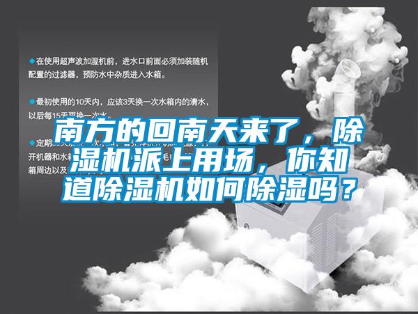 南方的回南天來了，除濕機派上用場，你知道除濕機如何除濕嗎？