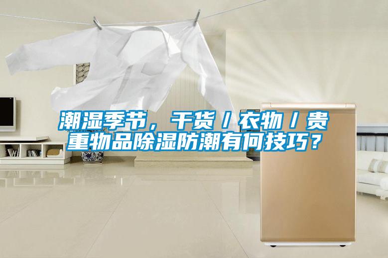 潮濕季節，干貨／衣物／貴重物品除濕防潮有何技巧？