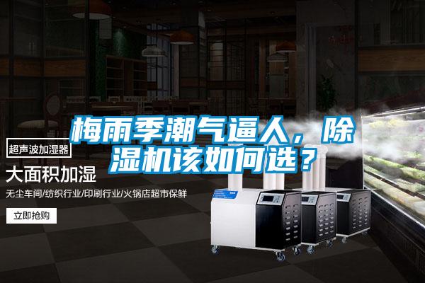 梅雨季潮氣逼人，除濕機該如何選？