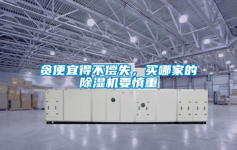 貪便宜得不償失，買哪家的除濕機要慎重