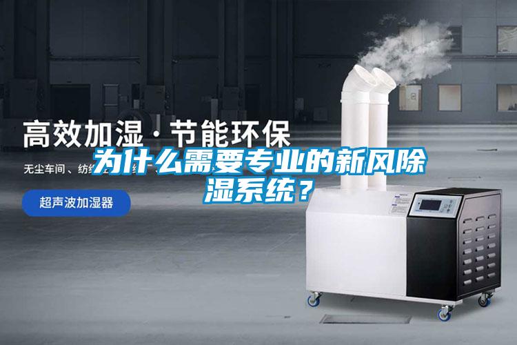 為什么需要專業的新風除濕系統？