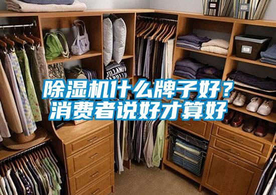 除濕機什么牌子好？消費者說好才算好