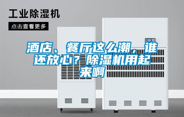 酒店、餐廳這么潮，誰還放心？除濕機用起來啊
