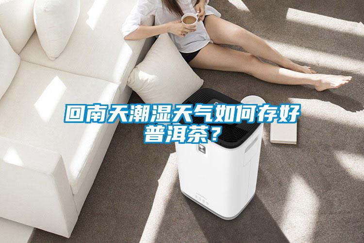 回南天潮濕天氣如何存好普洱茶？