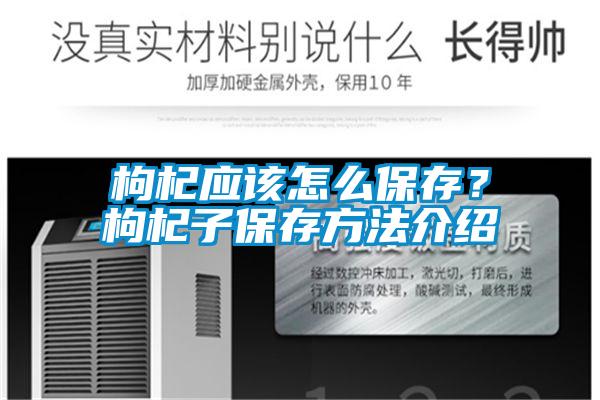 枸杞應該怎么保存？枸杞子保存方法介紹