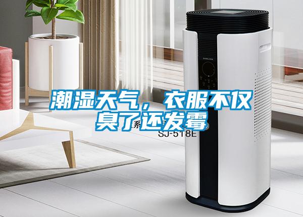 潮濕天氣，衣服不僅臭了還發霉