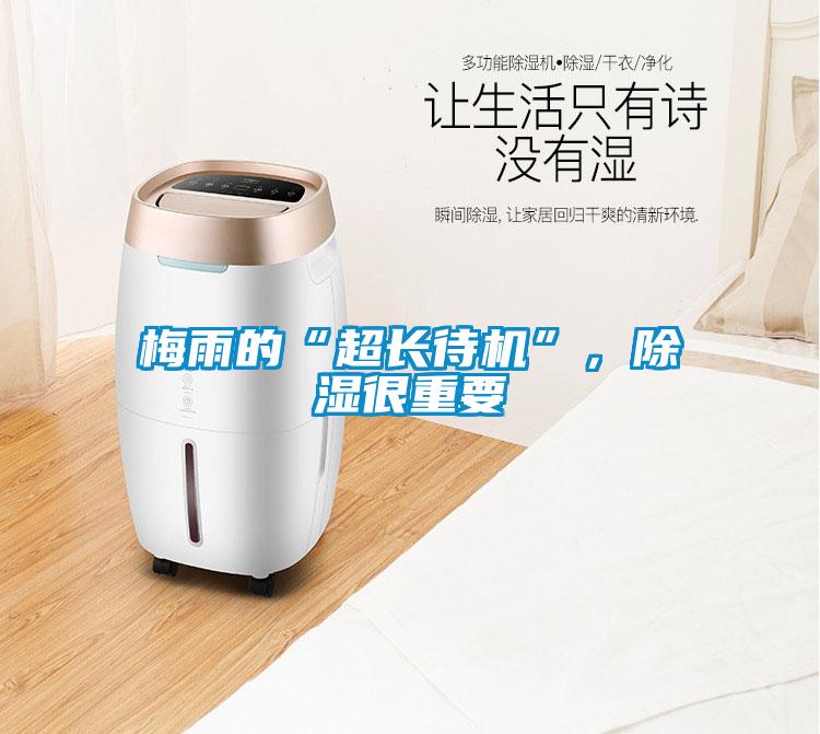 梅雨的“超長待機”，除濕很重要