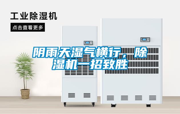 陰雨天濕氣橫行，除濕機一招致勝