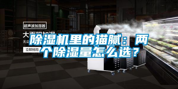除濕機里的貓膩：兩個除濕量怎么選？