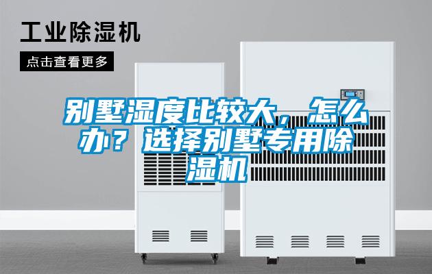 別墅濕度比較大，怎么辦？選擇別墅專用除濕機