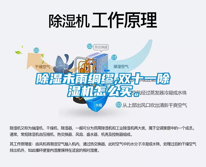 除濕未雨綢繆,雙十一除濕機怎么買。