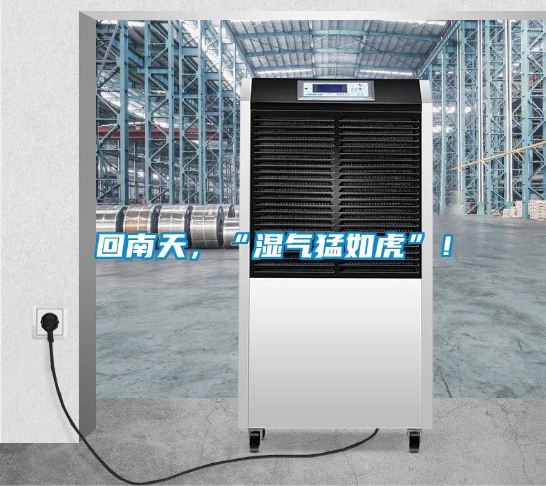 回南天，“濕氣猛如虎”！